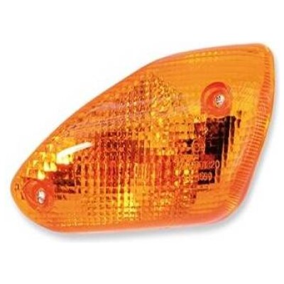 Intermitente delantero izquierdo 7495